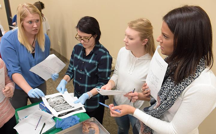 Students looking over a specimen 